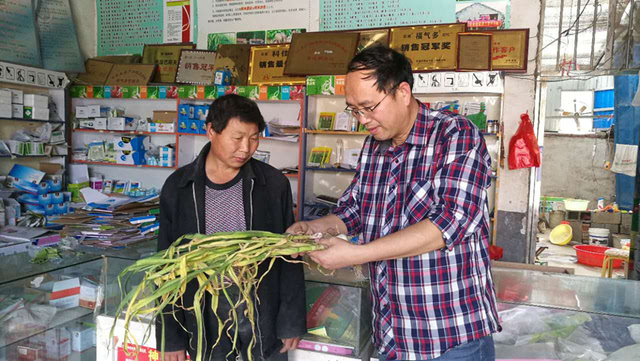 【走基層】走進(jìn)山東蘭陵 農(nóng)藥零售行業(yè)亟待規(guī)范與培訓(xùn)
