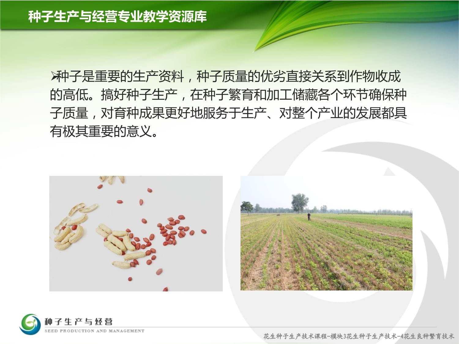 花生種子質(zhì)量分級(jí)與計(jì)算機(jī)軟硬件零售的關(guān)聯(lián)與技術(shù)應(yīng)用